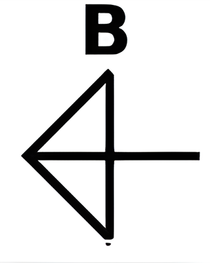 Which of the six figures below best fits in the missing field?